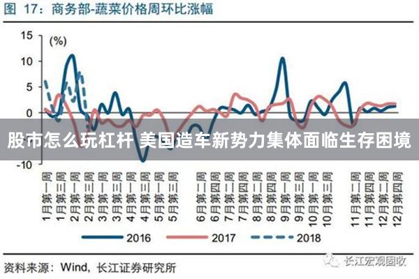 股市怎么玩杠杆 美国造车新势力集体面临生存困境