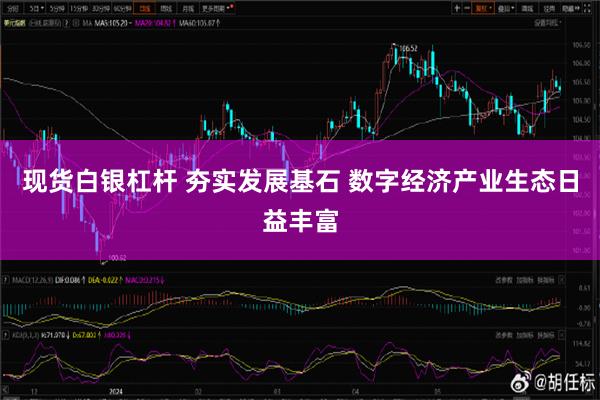 现货白银杠杆 夯实发展基石 数字经济产业生态日益丰富