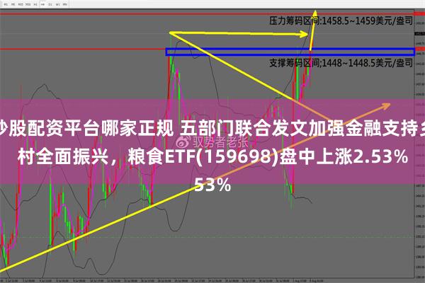 炒股配资平台哪家正规 五部门联合发文加强金融支持乡村全面振兴，粮食ETF(159698)盘中上涨2.53%