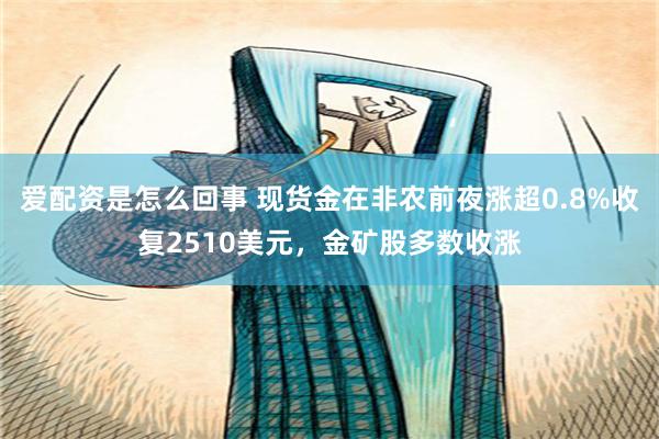 爱配资是怎么回事 现货金在非农前夜涨超0.8%收复2510美元，金矿股多数收涨