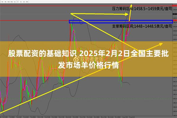 股票配资的基础知识 2025年2月2日全国主要批发市场羊价格行情