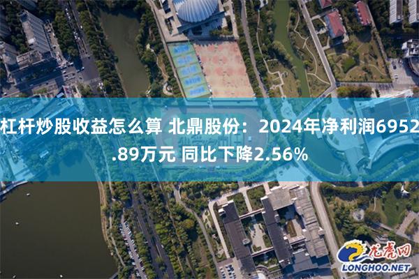 杠杆炒股收益怎么算 北鼎股份：2024年净利润6952.89万元 同比下降2.56%